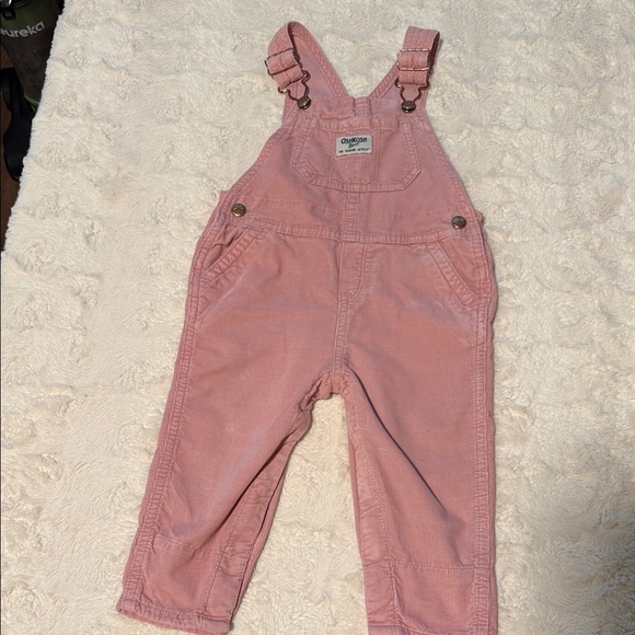 OshKosh B'gosh Floral Hooded Jacket and Pink Overalls - Picture 2 of 9